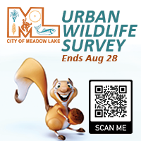Urban Wildlife Survey - Ends Today!